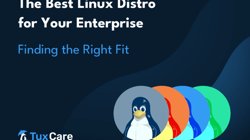 The Best Linux Distro for Your Enterprise: Finding the Right Fit
