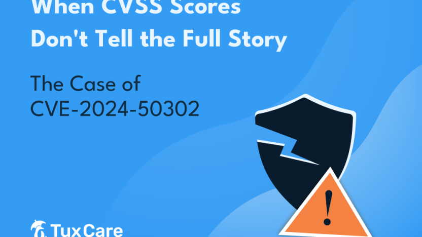 The Case of CVE-2024-50302