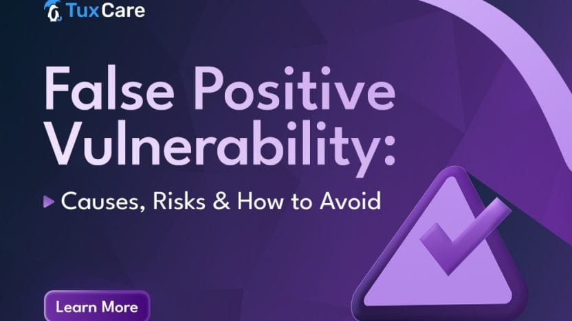 False Positive Vulnerability: Causes, Risks & How to Avoid