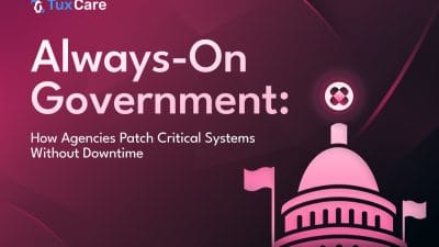 How Government Agencies Patch Without Downtime
